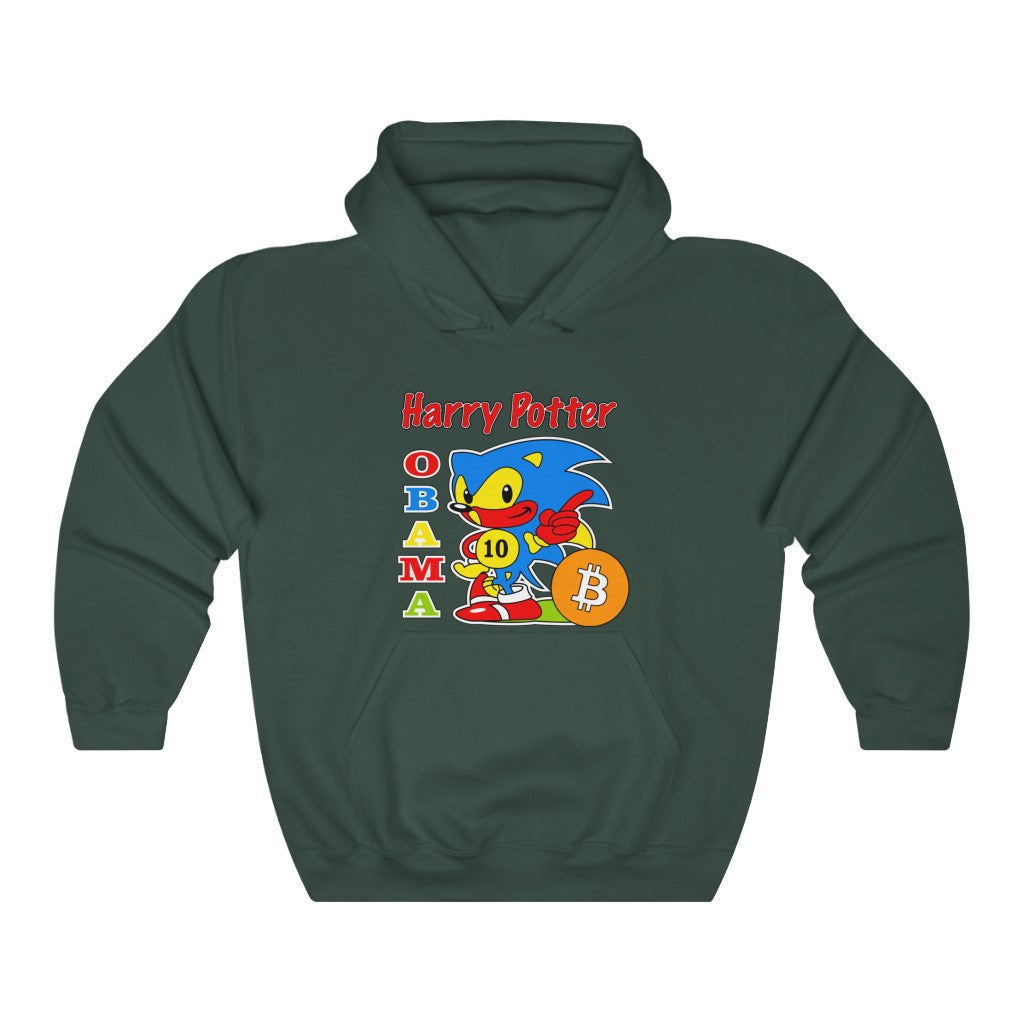 OG HPOS10I LOGO HOODIE