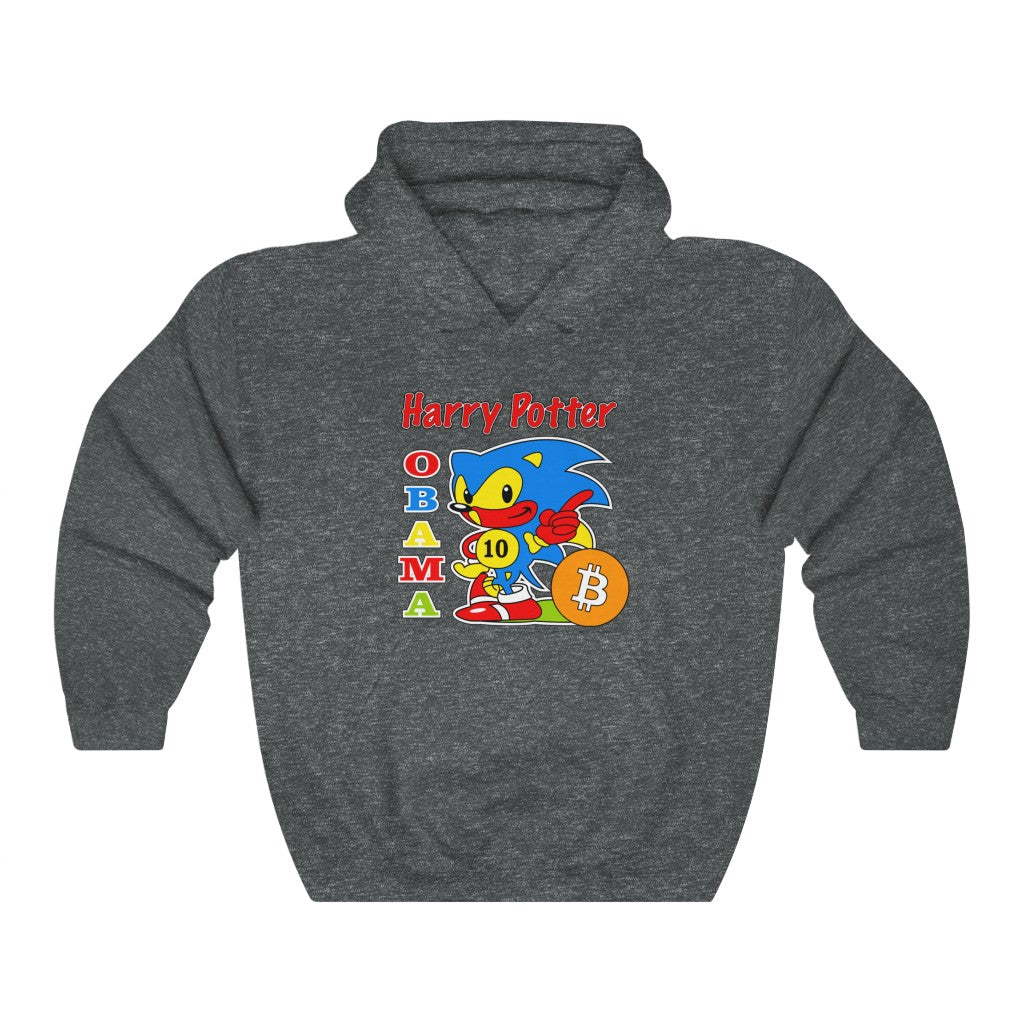 OG HPOS10I LOGO HOODIE